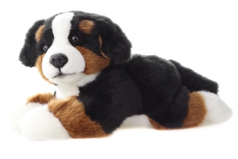 Chien de montagne bernois en peluche 25 cm