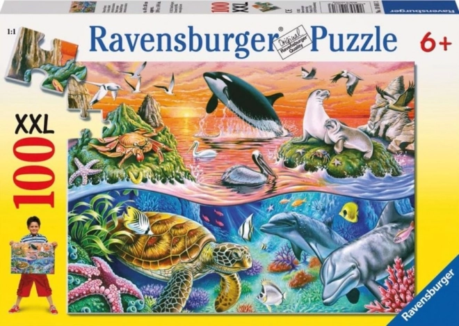 Puzzle Magnifique Océan XXL de Ravensburger 100 pièces