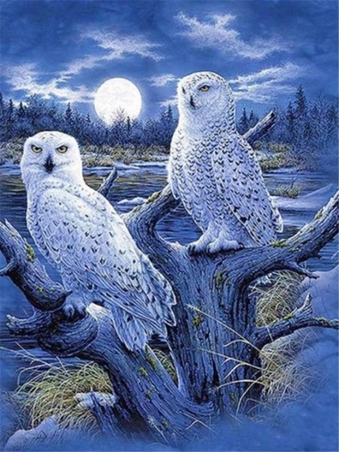 Mosaique de diamants - Chouettes blanches
