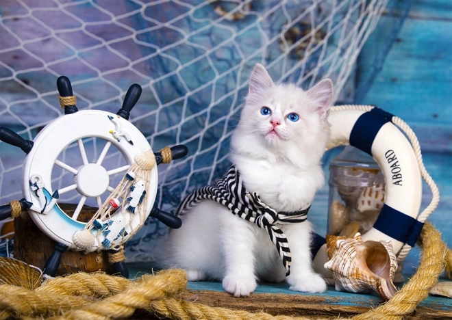 Puzzle Capitaine chaton 1000 pièces