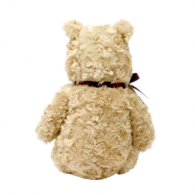 Nounours Peluche Rainbow Winnie l'Ourson de la Forêt des Cent Acres