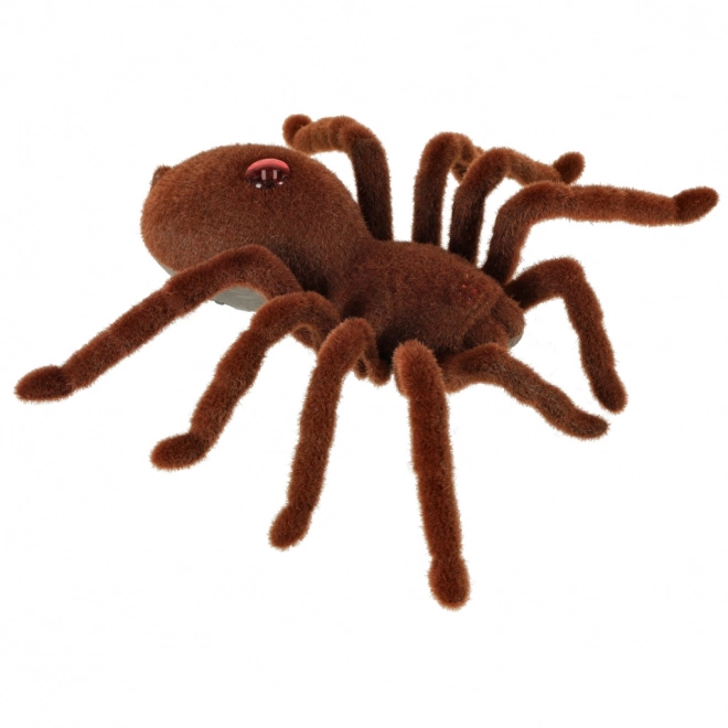 Araignée en peluche avec télécommande
