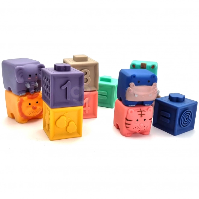 Stimulation des sens et de la motricité