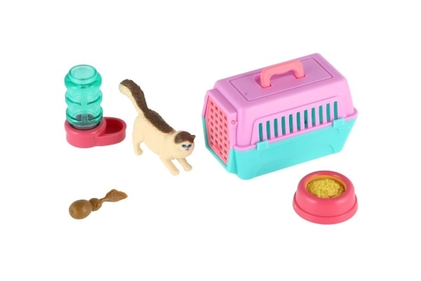 Petit chat avec une boîte de transport et accessoires