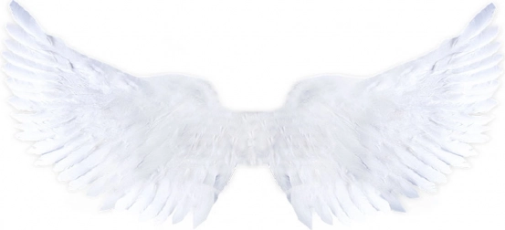 Ailes d’ange blanches avec paillettes