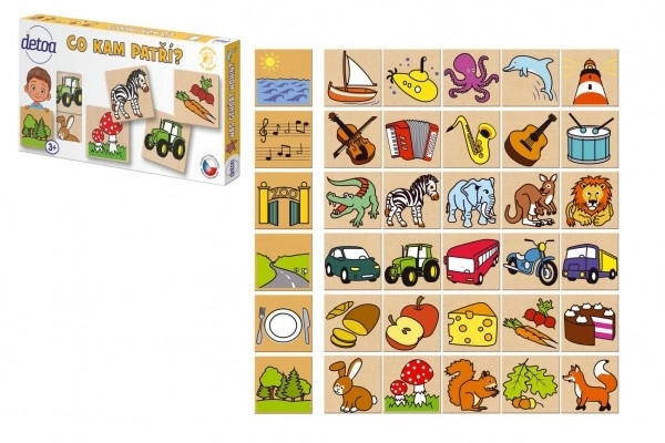 Jeu didactique - Qu'est-ce qui va où ? 36 pièces