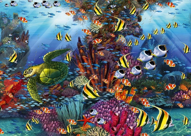 ALIPSON puzzle récif corallien 1500 pièces