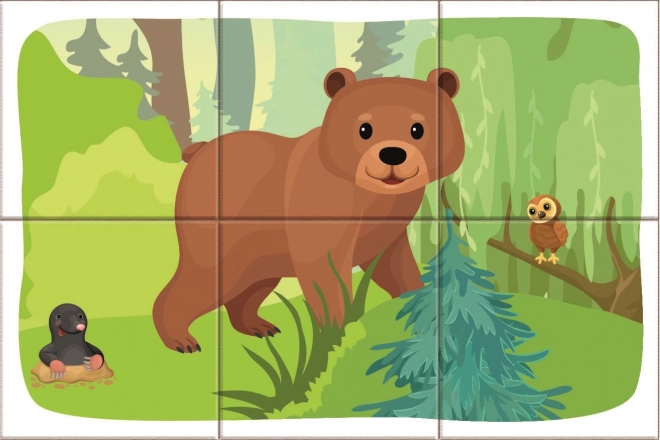Dino Blocs de bois Animaux de la forêt