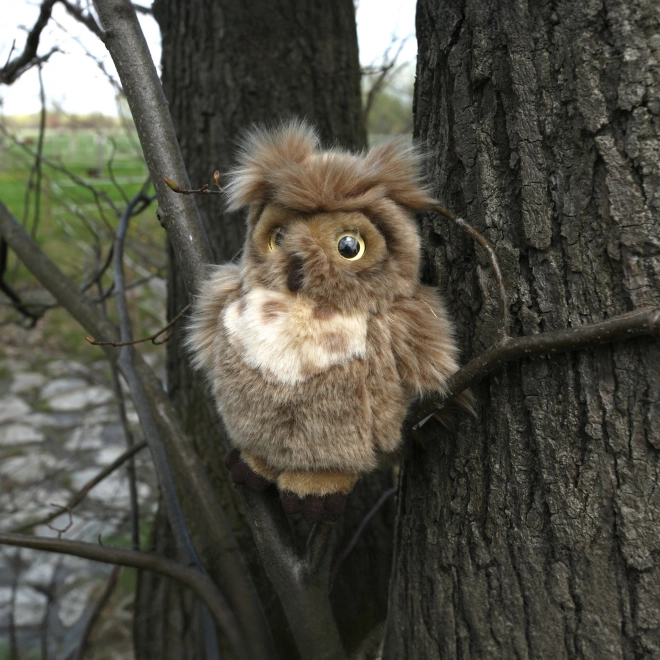 Rappa Hibou en peluche 17 cm