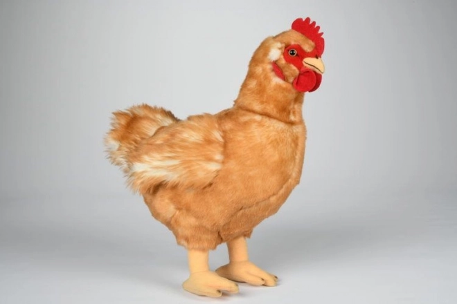 Poulet en peluche