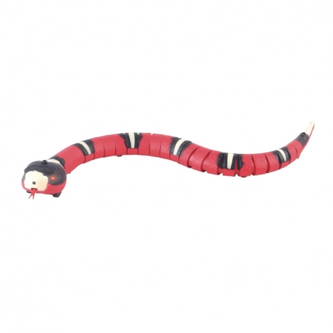 Serpent Robo Corail interactif