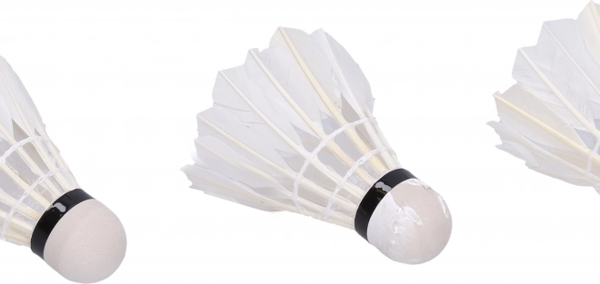 Plumes de badminton blanches
