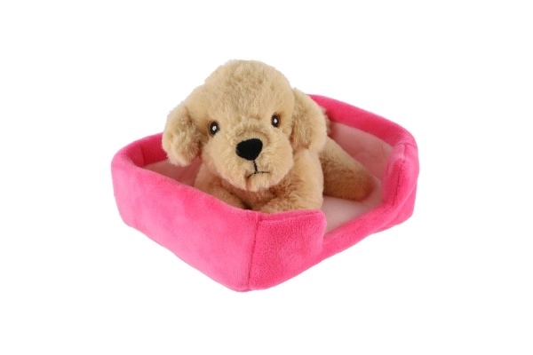 Petit animal chien dans son panier peluche 4 couleurs 22x24cm 24m+