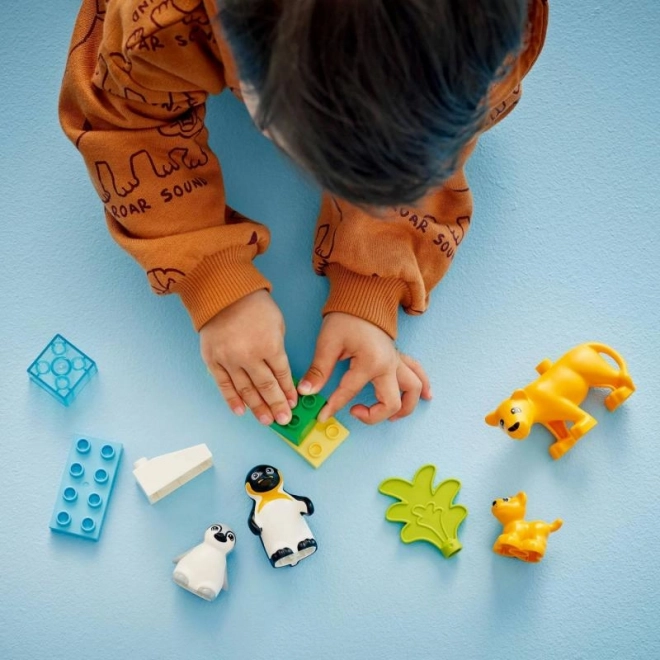 Lego Duplo Familles d'animaux sauvages : Pingouins et lions