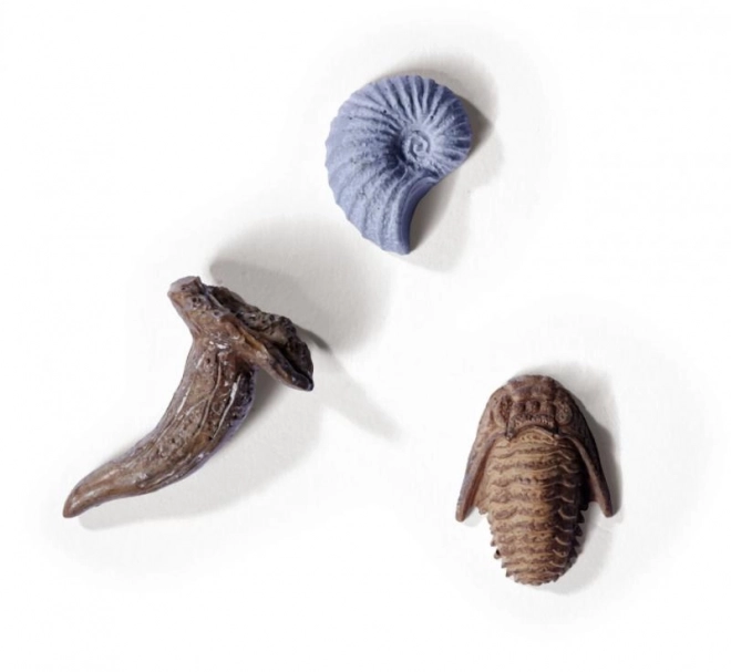 Kit pour déterrer et assembler des squelettes de dinosaures