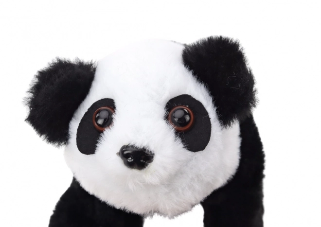 Panda interactive en peluche de couleur Transporter Rose Bleu