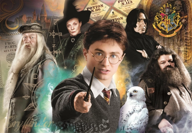 puzzle 1000 pièces compact harry potter clementoni