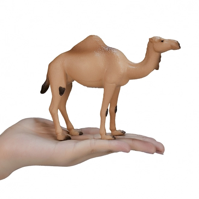 Mojo Animal Planet Dromadaire