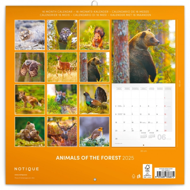 NOTIQUE Calendrier Notes Petits animaux de la forêt 2025, 30 x 30 cm