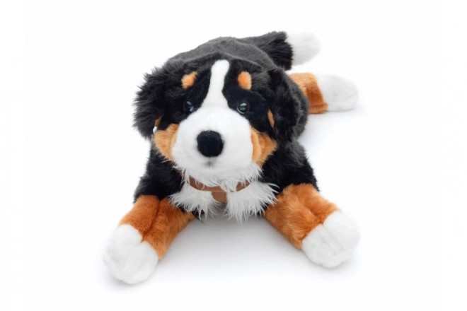 Chien de Montagne des Bernois en peluche 65 cm