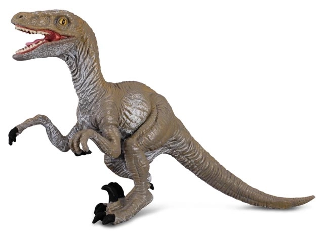 Vélociraptor