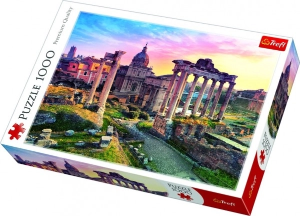 Puzzle Rome 1000 pièces dans une boîte 40x27x6cm