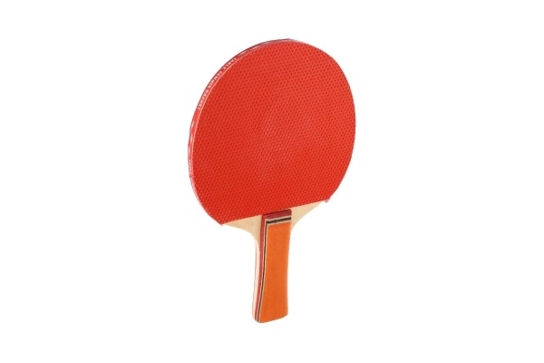 Raquette de tennis de table