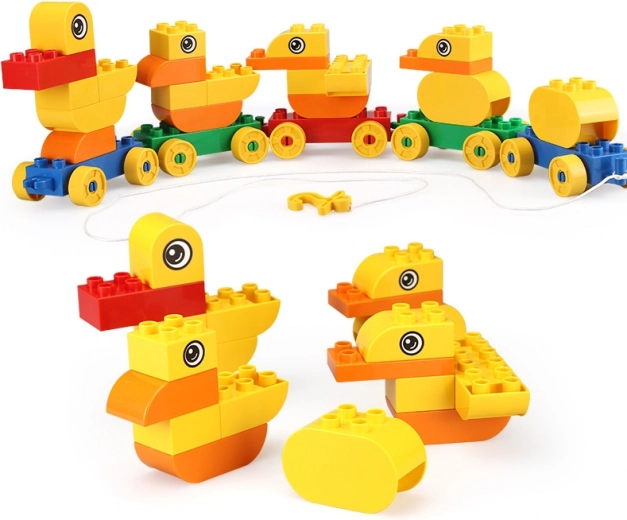 Construis le train de canards