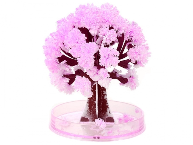 Arbre magique Sakura