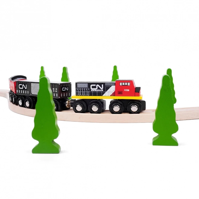 Train CN petit train Chemin de fer Canadien