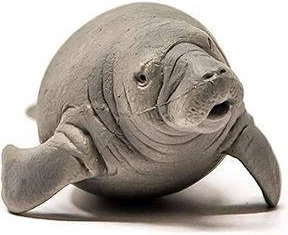 Dimensions compactes pour une manipulation facile