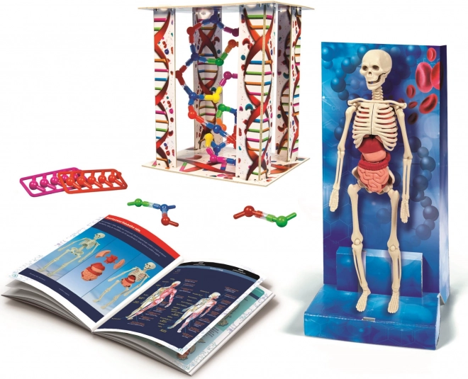 CLEMENTONI Science&Play : Corps humain 2023