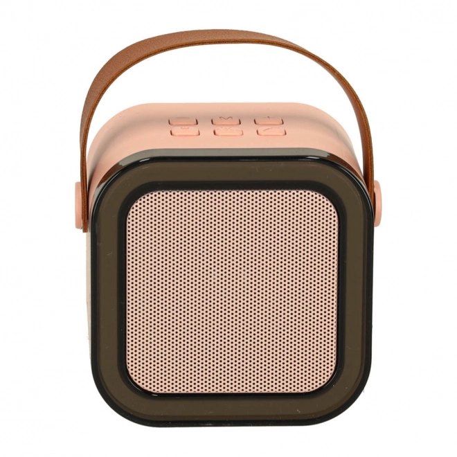 Ensemble karaoké 2 microphones + haut-parleur portable BLUETOOTH USB LED rose