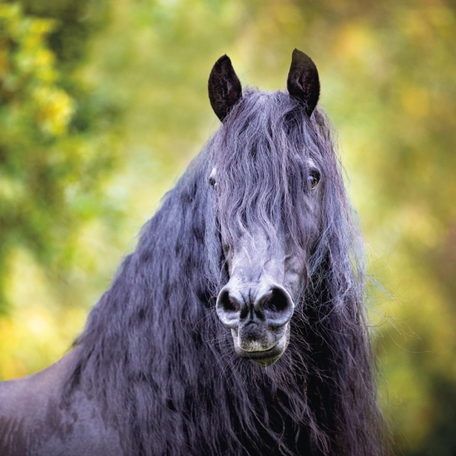 NOTIQUE Calendrier de notes Chevaux – Christiane Slawik 2025, 30 x 30 cm