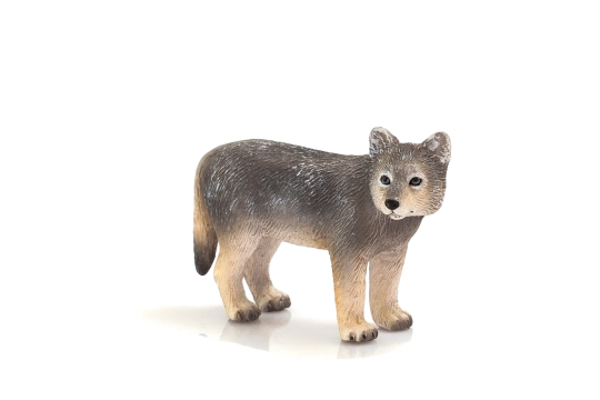 Mojo Loup Jeune