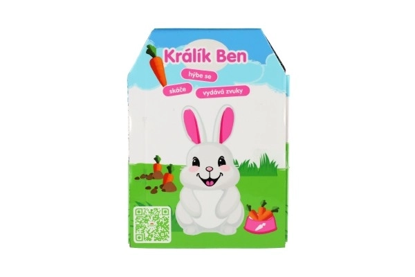Lapin Ben peluche/plastique 16x17cm à piles avec son et mouvement dans une boîte 13x19x18cm