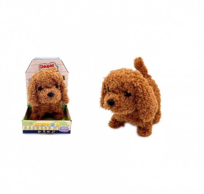 Caniche à piles