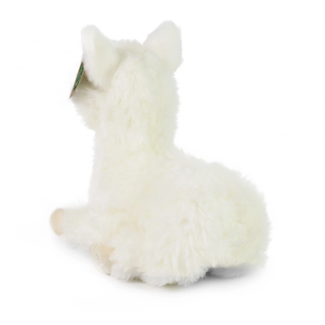Lama en peluche Rappa allongée - 23 cm