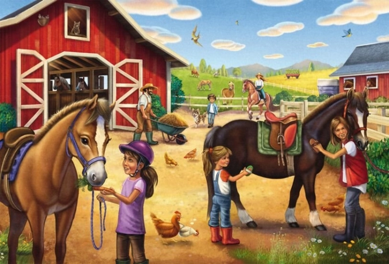 Prendre soin des chevaux comme une aventure