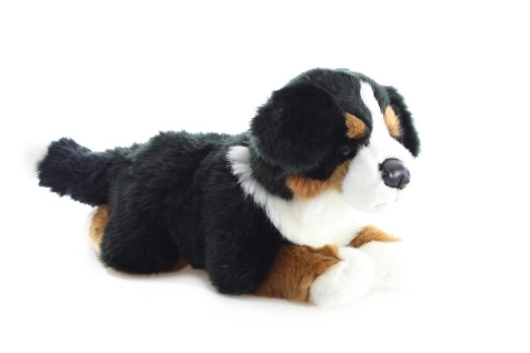 Peluche Chien de Montagne Bernois 40 cm