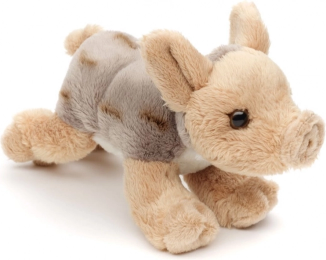 Léger et idéal pour les déplacements