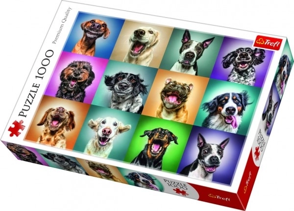 Puzzle Portraits de chiens amusants 1000 pièces 68,3x48cm dans une boîte 40x27x6cm