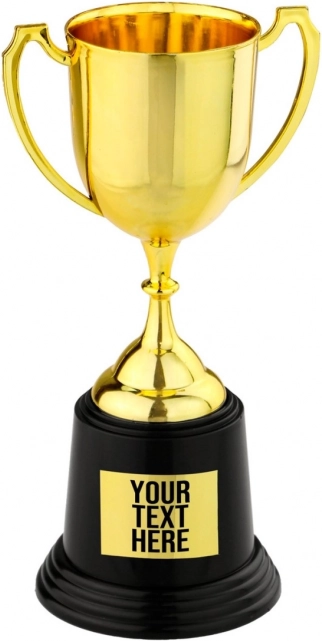 Trophée coupe 22 cm
