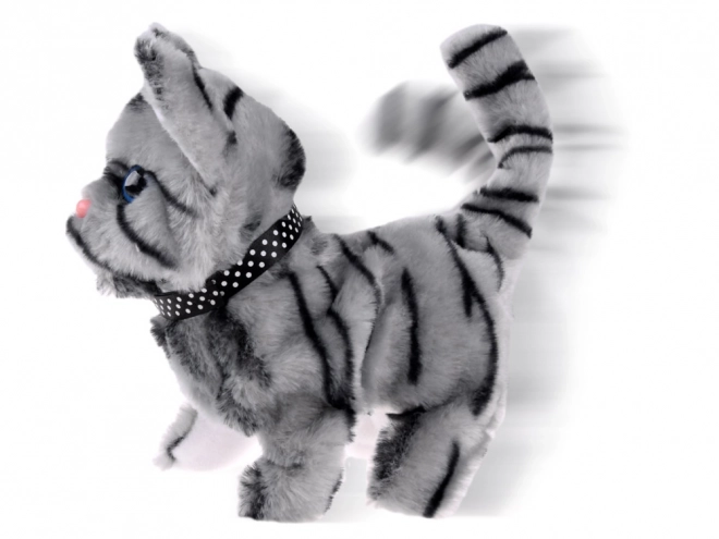 Chat interactif gris pour jouer