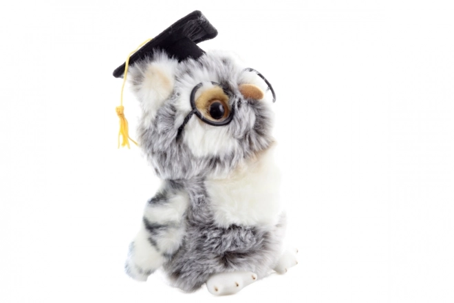 Chouette en peluche diplômée