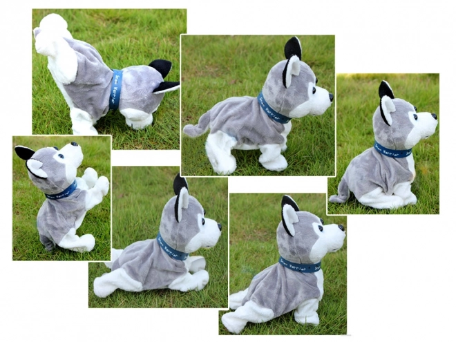 Chien Husky en peluche interactif