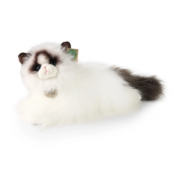 Chat Ragdoll en peluche 35 cm écologique