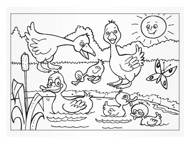 Livres à colorier MFP Animaux domestiques