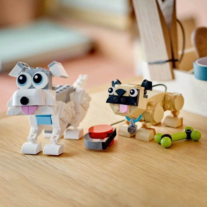 Articulés et adorables en pose