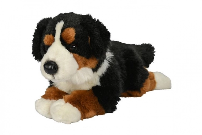 Peluche Chien de Montagne Bernois 40 cm
